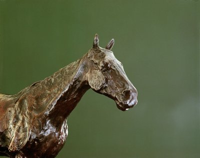 Pferdekopf (Bronze) (Detail) von Edgar Degas