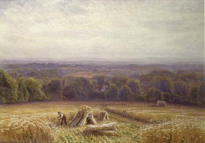 Ernte von Edmund George Warren