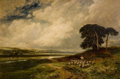 Landschaft mit Schafen von Edmund Morison Wimperis
