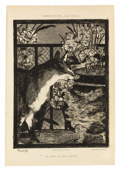 Die Katzen von Édouard Manet