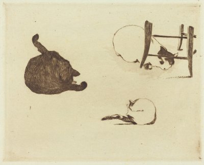 Die Katzen von Édouard Manet