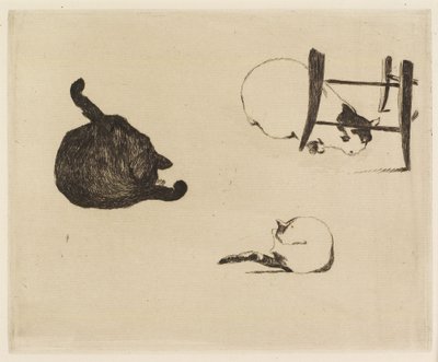 Die Katzen, 1869 von Édouard Manet