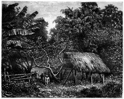 Guyana, Südamerika, 19. Jahrhundert von Edouard Riou