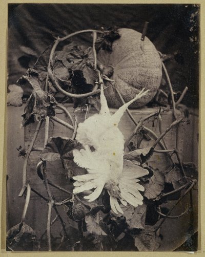 Stillleben mit totem Vogel und Kürbis von Eduard Isaac Asser