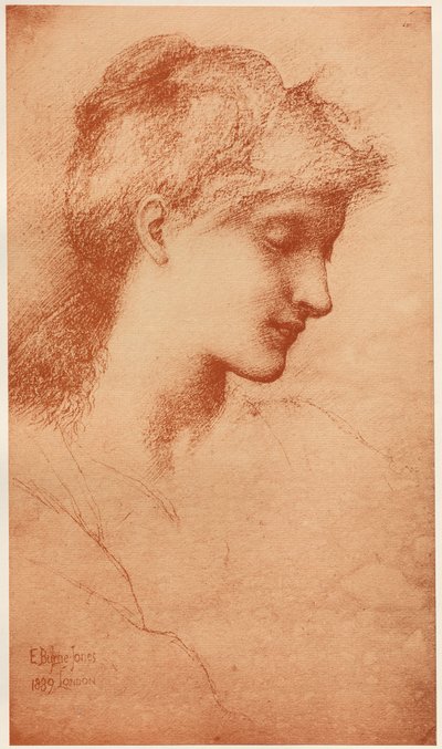 Schönheit, 1887-1889 von Edward Burne Jones