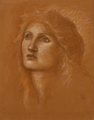 Kopf einer Frau, 1890 von Edward Burne Jones