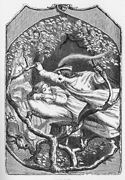 Briar Rose, 1901 von Edward Henry Wehnert