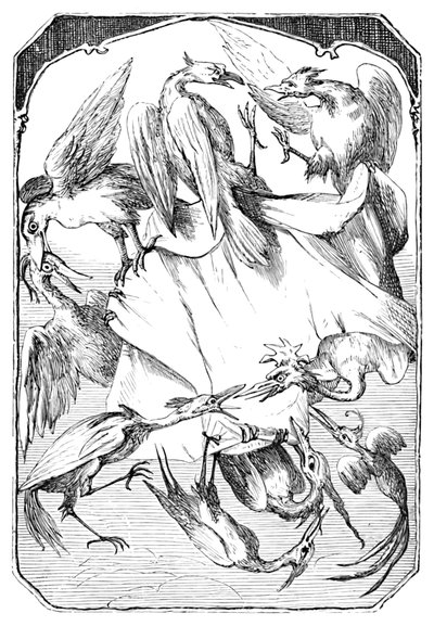 Die Eselkohlköpfe, 1901 von Edward Henry Wehnert