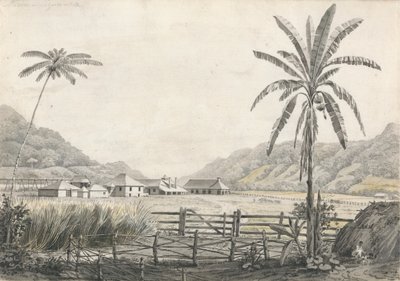 Ansicht der Hall-head Zuckerplantage, Jamaika von Edward Kennion
