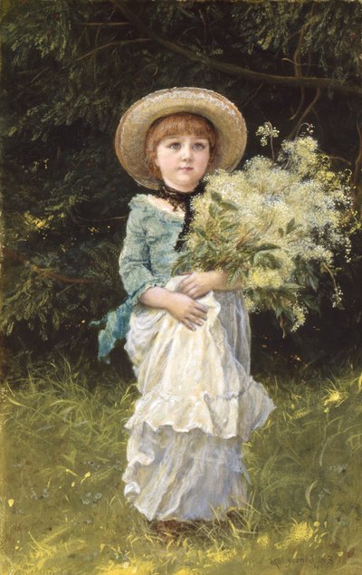 Mädesüß von Edward Killingworth Johnson