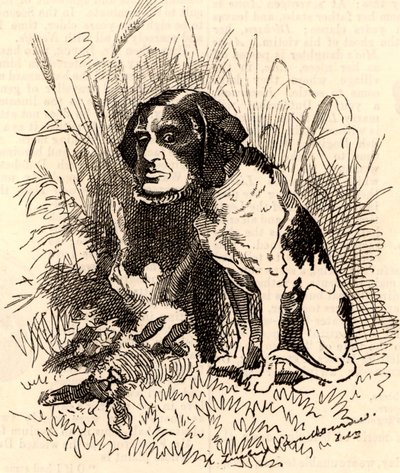 William GGV Vernon Harcourt (1827-1904) von Edward Linley Sambourne
