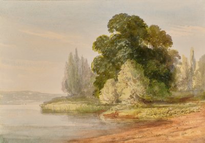 Landschaft mit Bäumen von Edward Pretty