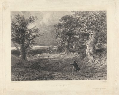 Am Rande des Waldes von Edward Radclyffe