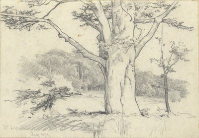 Nr. Lyndhurst, Aug. 1871 von Edwin Austin Abbey
