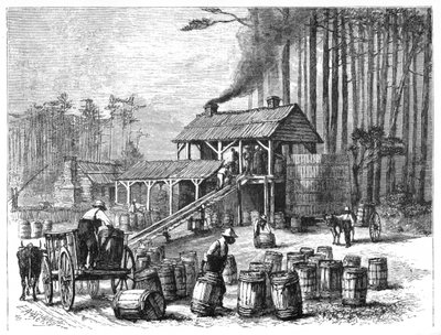 Terpentin-Destillerie, North Carolina, 1870 von Edwin Austin Abbey