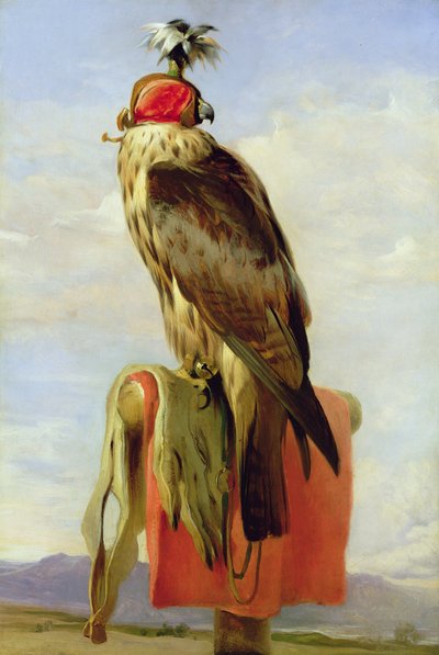 Gehörnter Falke von Edwin Landseer