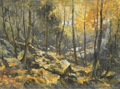 Felsenmeer von Egbert Rubertus Derk Schaap