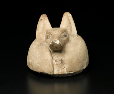 Schakalköpfiger Deckel eines Kanopenkrugs von Egyptian