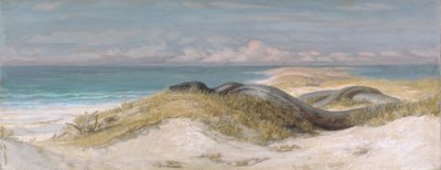 Höhle der Seeschlange von Elihu Vedder