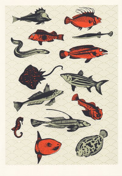 Oranger japanischer Fisch, 2015 von Eliza Southwood