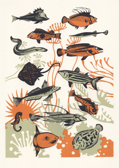 Orange Seetang Fisch, 2015 von Eliza Southwood