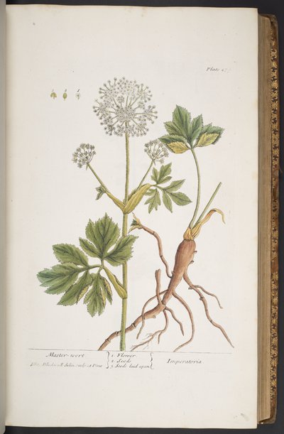 Tafel 279, aus 