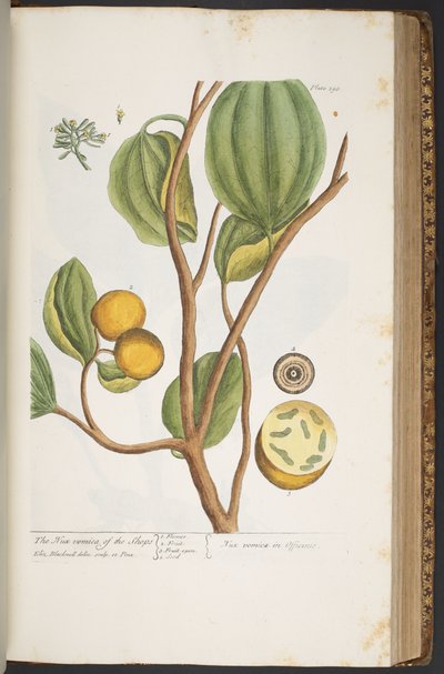 Tafel 395, aus 