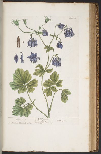 Tafel 409, aus 