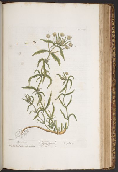 Tafel 412, aus 