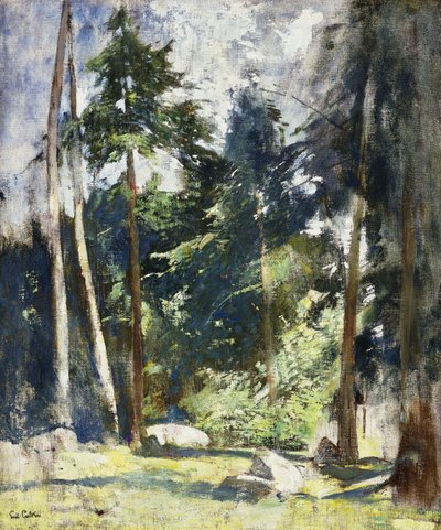 Hohe Kiefern von Emil Carlsen