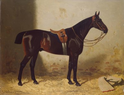 Pferdeporträt von Emil Volkers