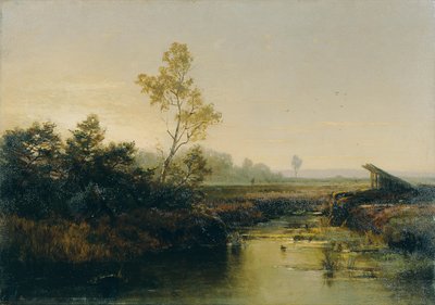 Moorlandschaft von Emilie Mediz Pelikan