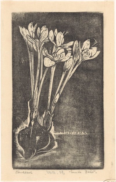 Herbstzeitlose von Emilius Wilhelmus Dehé (signed by artist)