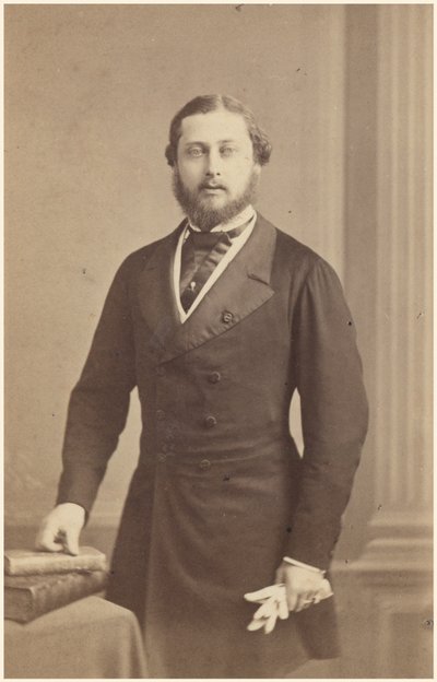 Albert Edward, Prinz von Wales von English Photographer