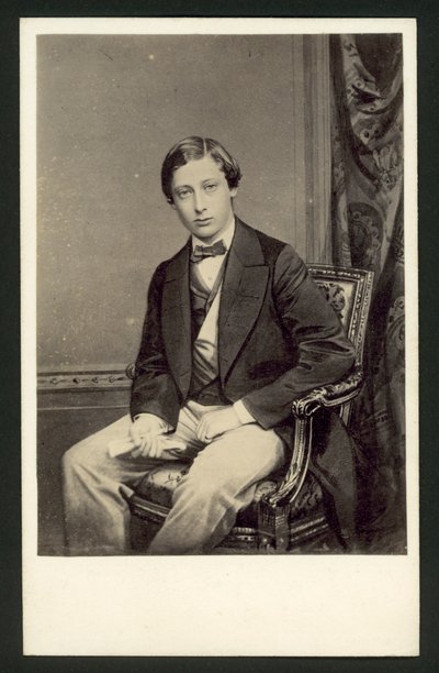 Albert Edward, Prinz von Wales von English Photographer