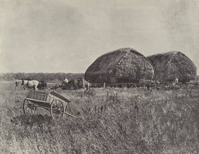 Canning Downs Station von English Photographer