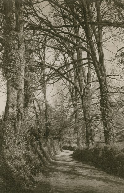 Cockington Lane, Devonshire, nahe Torquay von English Photographer