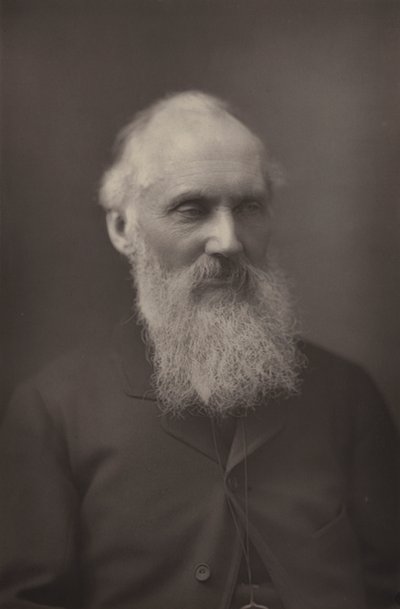 Sir William Thomson von English Photographer