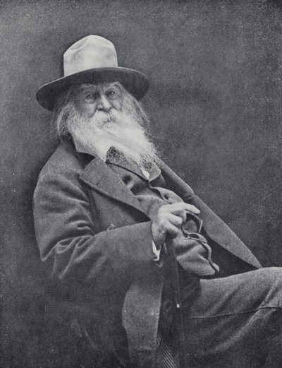 Walt Whitman von English Photographer