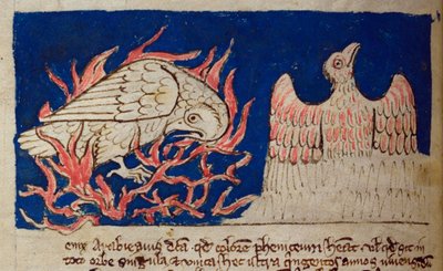 CCA-LitMs/D/10 fol. 17v Phönix, aus Bestiarium von English School