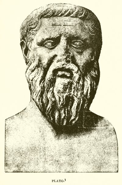 Platon von English School