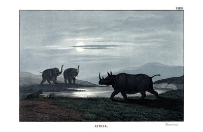 Nashorn von English School