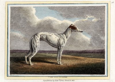 Der Windhund, veröffentlicht 1812 von English School