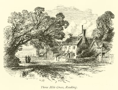 Three Mile Cross, Reading von English School