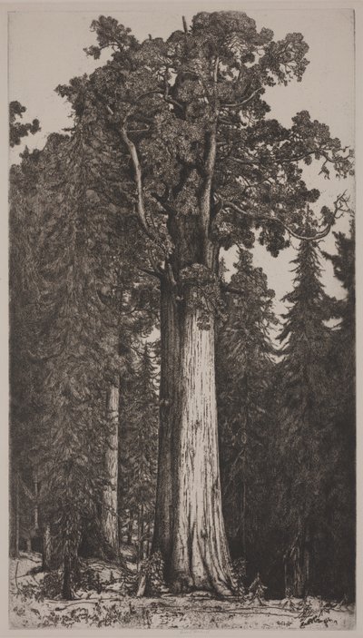 General Sherman von Ernest Haskell