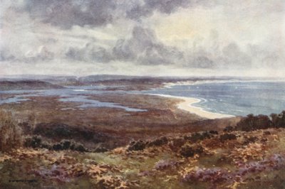 Poole Harbour von Studland von Ernest William Haslehust