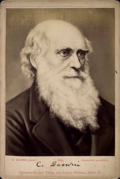 Charles Darwin, britischer Naturforscher von Ernst Hader