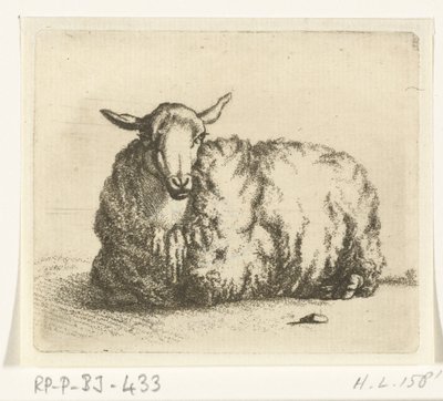 Liegendes Schaf von vorne von Ernst Willem Jan Bagelaar