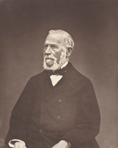 Henri Martin, ca. 1876 von Etienne Carjat