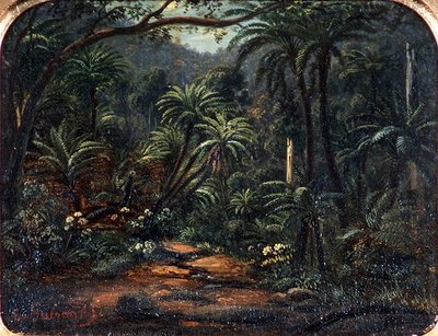 Ferntree Gully in den Dandenong Ranges von Eugen von Guerard